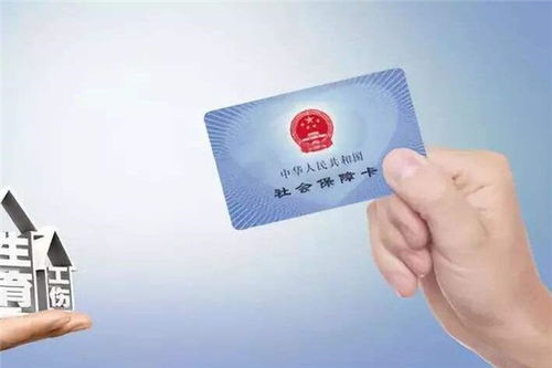 我社保不交了，能退钱吗？律师掏心窝子告诉你真相