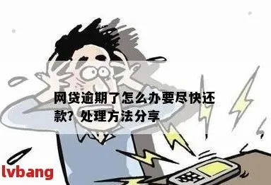 网贷逾期要报备吗？现在该怎么办？