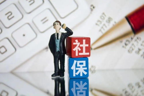 失业了，社保断了怎么办？别慌，律师来支招！