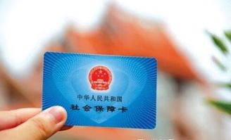 在上海不交社保怎么办？后果真那么严重吗？