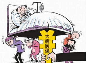 能否只交医保不交社保？律师深度解析你的疑惑