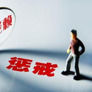 到底啥时候，借的网贷会真的被起诉到法院？