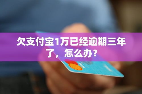 1万元逾期1年，你的生活会因此天翻地覆吗？