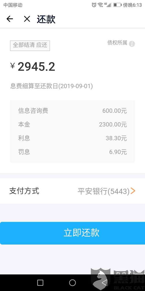 网贷逾期一天还款可以吗？后果比你想象的更严重！