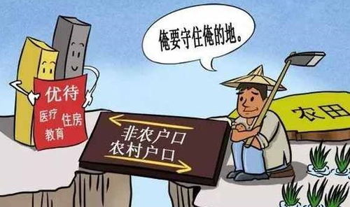 不交社保的人多吗？律师带你一探究竟