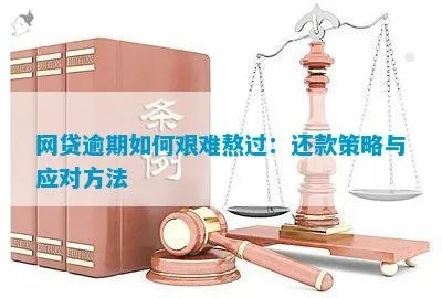 网贷逾期延期还款是怎么样？一文详解你的权利与应对策略
