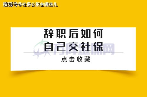 离职后公司不交社保，我的权益谁来守护？