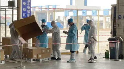 把人打成轻伤，我该怎么办？律师教你正确处理！