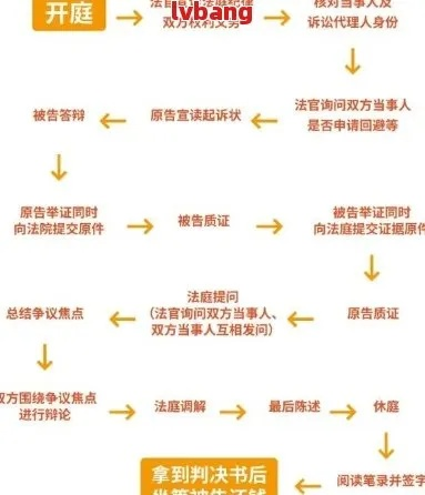 网贷被起诉开庭了？别慌！手把手教你应对全流程
