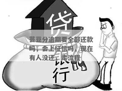 芸豆借款逾期1年，借款人该如何化解危机？