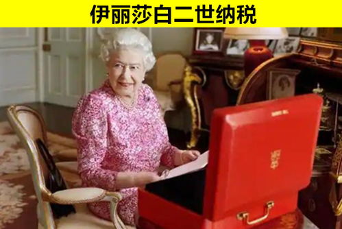 被网贷起诉了？别慌！普通人这样做也能胜诉！