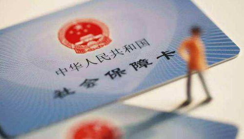 单位不签合同不交社保，你的权益谁来守护？
