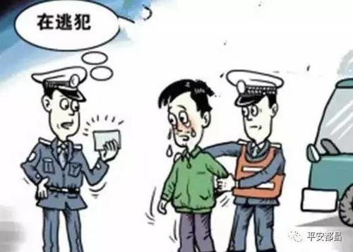 打了人致轻伤，派出所会怎么处理我？流程是啥？
