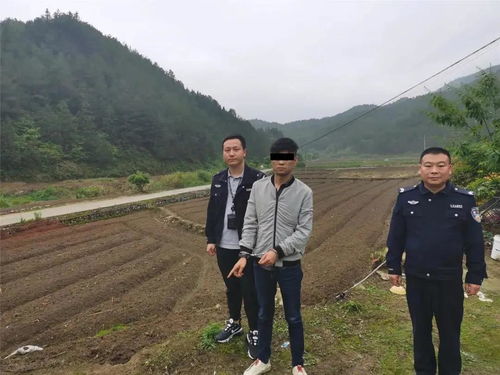 用钱宝逾期1年，你的生活会被拖垮吗？