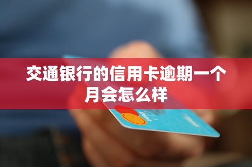 逾期一年后，催收频率该如何把握才不违法？