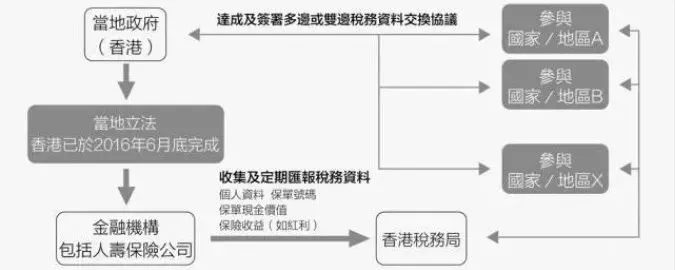 「与本人关系」怎么填？常见场景与法律风险解析