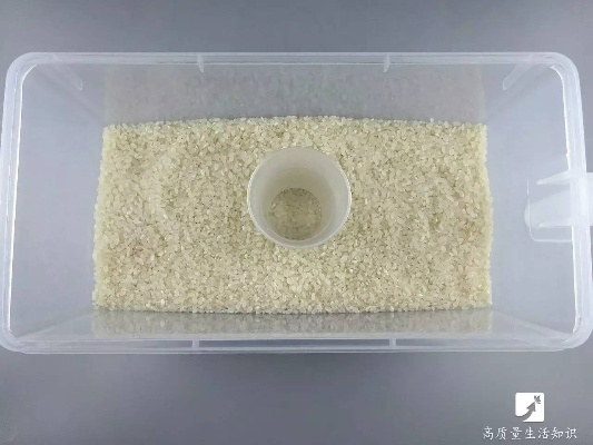 米缸生虫闹心？别慌！3招合法维权+5步科学处理全攻略