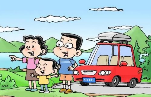 考驾照全攻略，如何轻松拿证不踩坑？