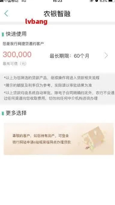 网捷贷还不上被起诉了,我该怎么办? 网捷贷还不上被起诉了,我该怎么办?