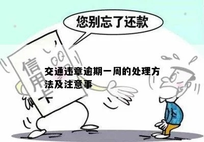 违章逾期超过1年，你的生活会不会被彻底改变？