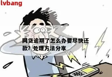 网贷逾期了怎么办？别慌，律师教你几招自救！