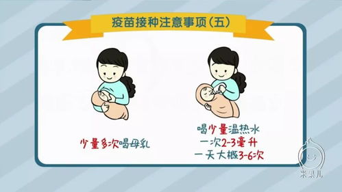 新生儿医保怎么办理？新手爸妈必看攻略！