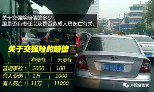 交强险到底怎么交？新手司机必看的避坑指南！