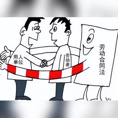 单位不交社保，员工权益谁来守护？