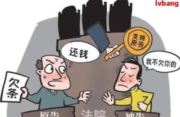 跨省网贷被起诉，我该怎么办？