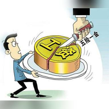 社保是交还是不交好？律师带你深度思考！