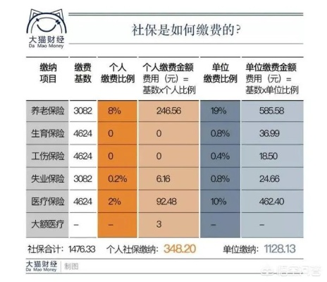 社保必须交吗？这几种情况你或许能省一笔钱！