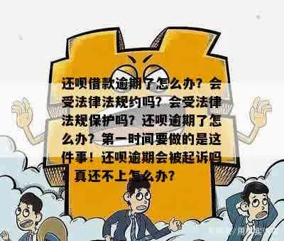 全面逾期1年了，你的法律防线还能撑多久？