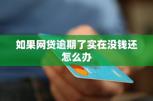 有网贷要逾期了怎么办呢