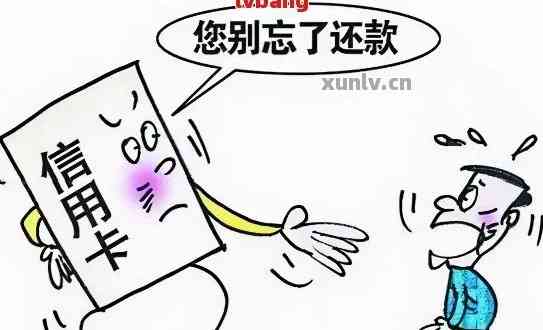 花见逾期1年，你的债务是否已陷入绝境？