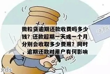 微众逾期1年，你的生活会因此天翻地覆吗？