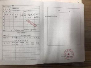社保15号前不交，真的会惹大麻烦吗？