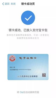 社保卡到底怎么领？手把手教你避坑！