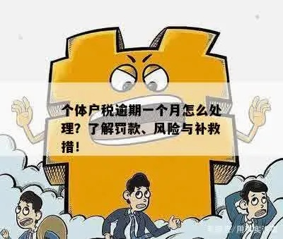 完税核销逾期一年，企业主该如何避免雪球式法律风险？