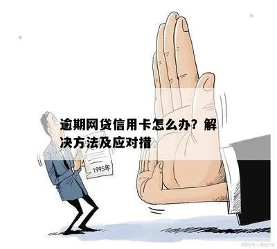 专注信用卡网贷逾期怎么办