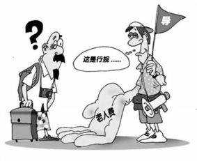 75岁老人轻伤了，后续到底该怎么处理才妥当？
