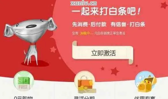 京东白条逾期一年，你的生活会因此雪崩吗？