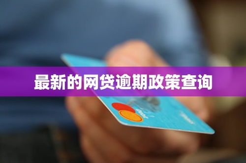 网贷逾期延期还款利息多少钱啊
