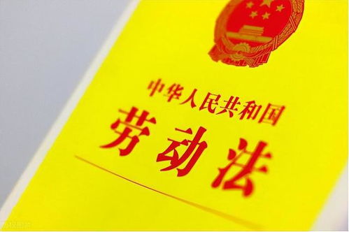 劳动法 不交社保
