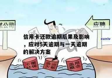秒购逾期1年，你的信用会彻底崩盘吗？