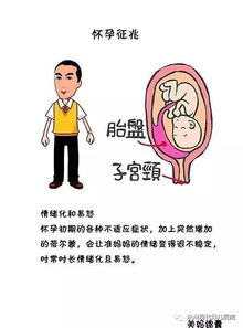 未婚先孕怎么办？别慌！这5个法律常识帮你稳住局面