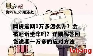 网贷一万元逾期了怎么办？律师教你如何应对！