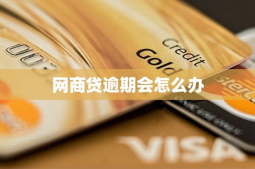 网商贷逾期记录突然消失？这背后藏着什么法律玄机