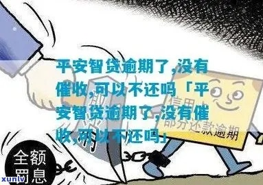 平安普惠逾期1年，你的生活会被拖垮吗？