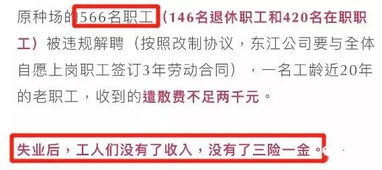 籍贯一栏随手填？小心这5个坑让你‘丢根’又误事！