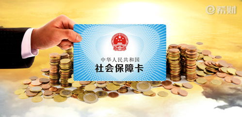 社保交好还是不交？律师带你揭开这个人生选择题